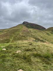 IMG 0694