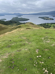 IMG 0688