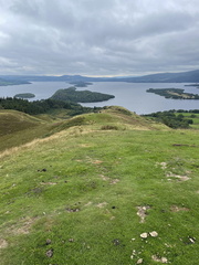 IMG 0689