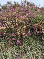 IMG 0674