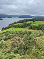 IMG 0723