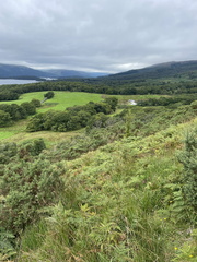 IMG 0722
