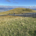 IMG 0999