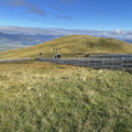 IMG 0998