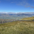 IMG 0997