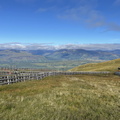 IMG 0995