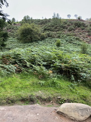 IMG 0507