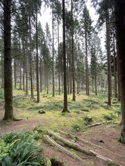 IMG 0502