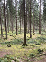 IMG 0501