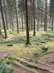 IMG 0500