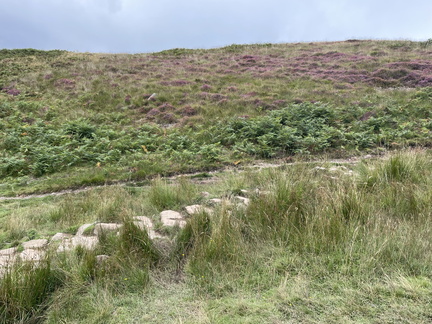 IMG 0552