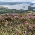IMG 0644