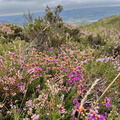IMG 0670